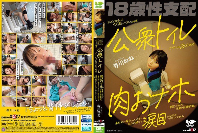 迷戀在社交網站上認識的渣男，最終成為他用來在公共廁所裡輕鬆解決性需求的肉體工具的18歲記錄影片。被持續地處理得符合他方便的方式，直到眼淚模樣被完全利用。 寺川寧寧
